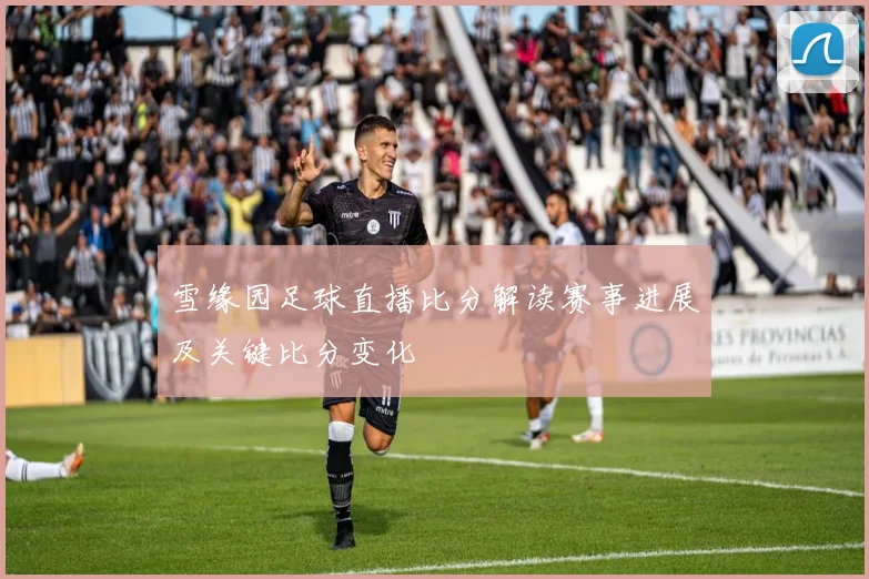 雪缘园足球直播比分解读赛事进展及关键比分变化