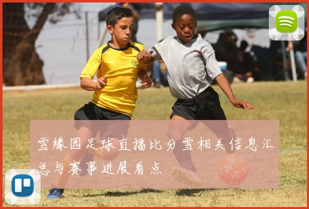 雪缘园足球直播比分雪相关信息汇总与赛事进展看点
