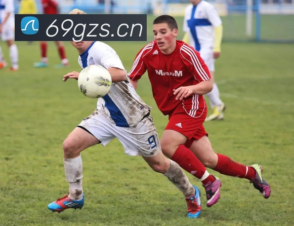 App Interface Preview